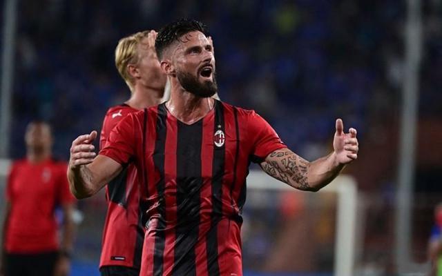 森林狼篮板保护极佳（森林狼篮板统治力十足）